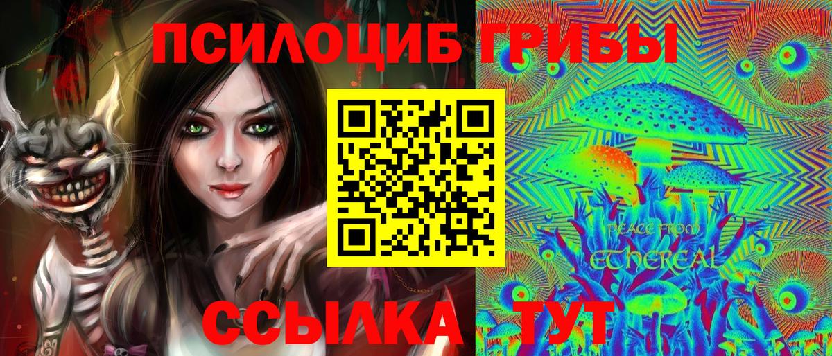 Псилоцибиновые грибы Psilocybe  Вход с VPN  Балтийск 
