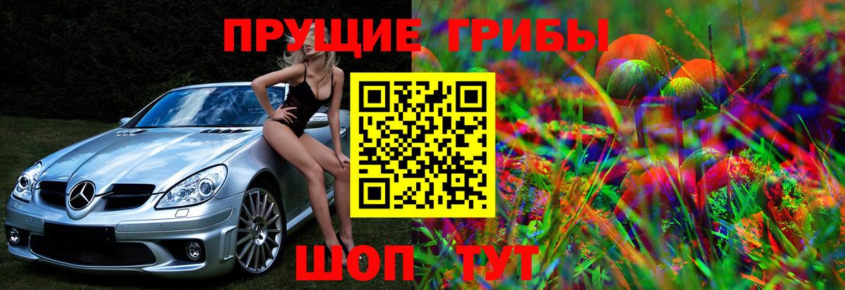 Псилоцибиновые грибы ЛСД Балтийск